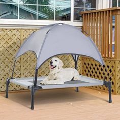 a white dog laying on top of a bed in front of a wooden deck and fence