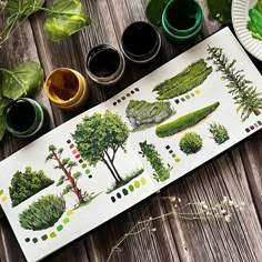 a table with some plants and paints on it