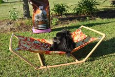 a black dog laying in a colorful lawn chair next to a bag of grain feed