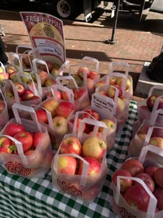 apple at farmers market apple picking apple orchard pumpkin patch pumpkin Fall Farmers Market Aesthetic, Fall Apple Picking Aesthetic, Fall Time Aesthetic, Apples Aesthetic, Apple Picking Aesthetic, Fall Farmers Market, Fall Apple Picking, Autumn Market