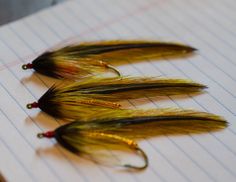 three yellow and black flies sitting on top of a piece of lined paper next to each other