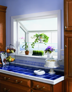 a kitchen window with potted plants on the ledge and in front of it is a blue tiled countertop