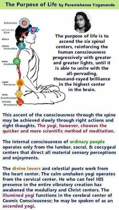the purpose of life by parahanana yoganana - screenshots com