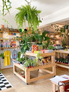 a room filled with lots of green plants and potted plants on shelves next to each other