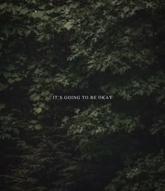 the words it's going to be okay are in front of some trees