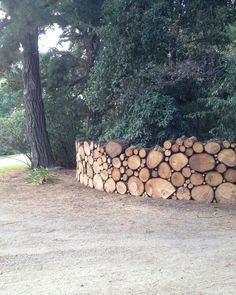 a large pile of wood sitting next to a forest