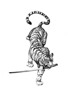 a black and white drawing of a tiger jumping over a stick with its tail extended