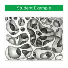 an image of a book cover with black and white rocks on it, the title student example