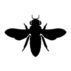 a black and white silhouette of a bee on a white background with the words, ` '