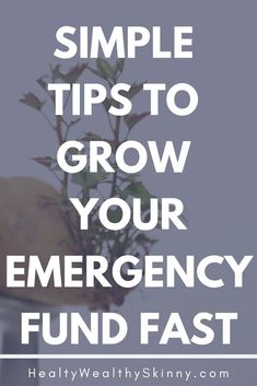 a plant with the words simple tips to grow your emergency fund fast