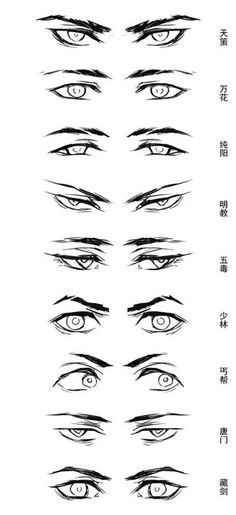 an image of the eyes and eyebrows in chinese