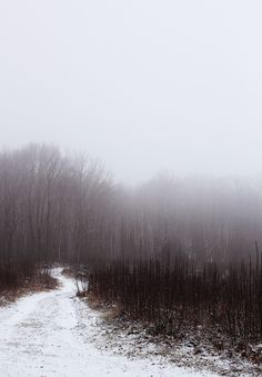 a snow covered road in the middle of a forest on a foggy winter day