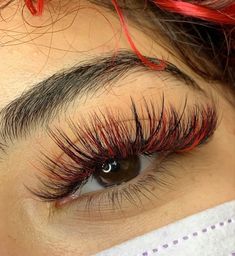 Wispy Volume Set, Color Eyelash Extensions, Eye Lash Design, Lash Book, Colored Lashes