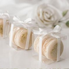 four macaroons wrapped in clear cellophane and tied with white ribbon, sitting next to each other