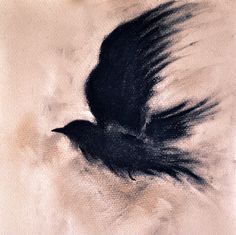 a black bird is flying in the sky