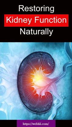 Restoring Kidney Function Naturally Kidney Repair Natural, Improve Kidney Function Natural, How To Increase Kidney Function, Clean Kidneys Naturally, Essential Oils For Kidneys, Detox Kidneys Home Remedies, Herbs For Kidney Repair, How To Improve Kidney Function, Kidney Pictures