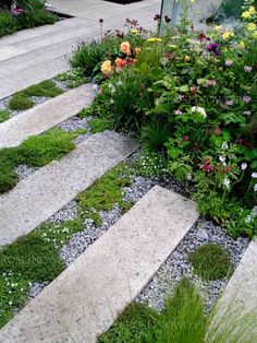 a garden filled with lots of different types of flowers and plants on top of cement steps