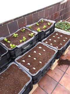 several plastic containers filled with plants and dirt on a brick floor next to a wall