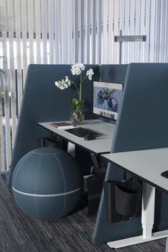 an office cubicle with a basketball, vase and computer monitor on the desk next to it