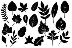 black and white silhouettes of leaves