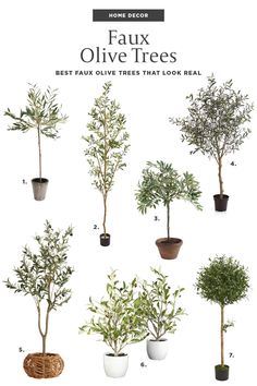 Shopping guide to the best faux olive trees. Olive Tree Bathroom Decor, Diy Faux Olive Tree, Faux Indoor Trees, Best Faux Olive Tree, Faux Olive Trees, Indoor Olive Tree, Faux Trees, Barn Remodel, Hipster Home Decor