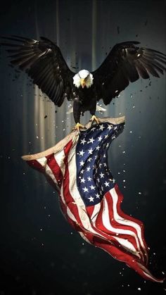 an eagle sitting on top of the american flag with words we're not asking we are taking our country back