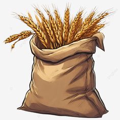 a bag full of wheat on a white background, illustration, cartoon png and psd