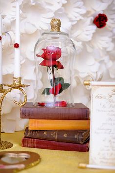 there is a glass vase with a rose in it on top of some books