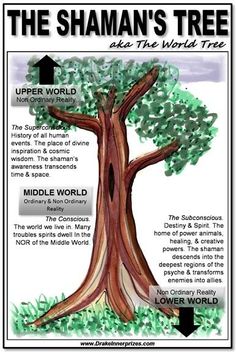 the shanman's tree and its world tree is shown in this graphic above