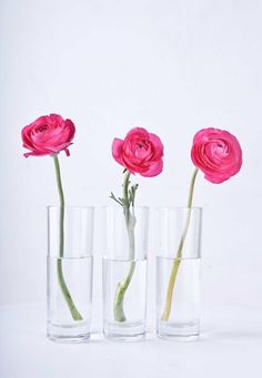 three vases with pink flowers in them