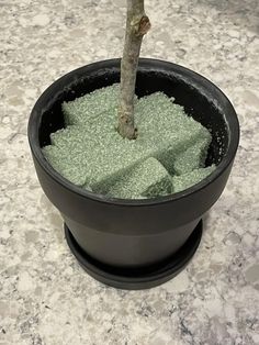 a small tree in a black pot on a marble counter top, with green powder