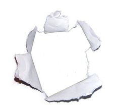 a piece of paper that has been torn in half