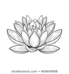 a black and white drawing of a lotus flower