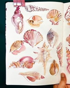 a hand holding an open book with seashells on it