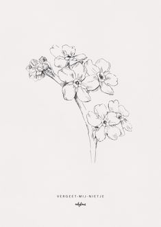 a black and white drawing of some flowers on a white background with the words vercet - mul - nite written below