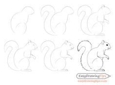 how to draw a squirrel step by step