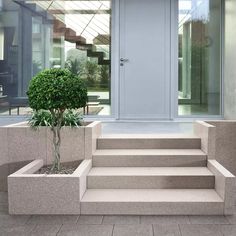 an entrance with steps leading up to the door and potted plant in front of it