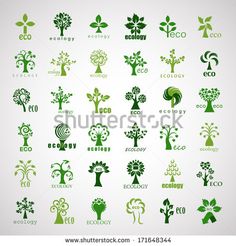 an image of tree logos set on white background for eco company logo design, business card or brochure