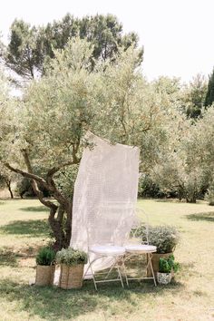 Charming Château de Sannes, with a authentic rehearsal dinner under the olive three in Provence. Olive Tree Wedding Ceremony, Rustic Provence Wedding, Wedding In Olive Grove, Wedding In Provence France, French Chateau Vineyard