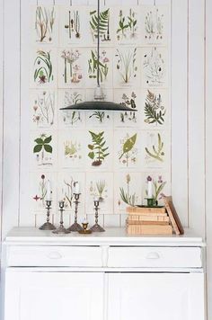 the wallpaper in this room is decorated with various plants and flowers, including an assortment of candles