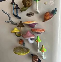 there are many different types of mushrooms on the refrigerator