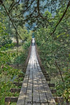 a wooden bridge surrounded by trees and bushes