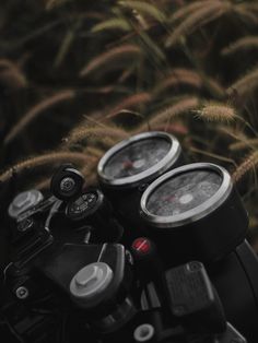 two gauges on the handlebars of a motorcycle in front of some tall grass