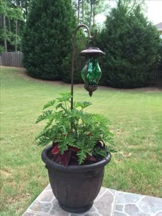 a potted plant sitting on top of a stone walkway next to a green light