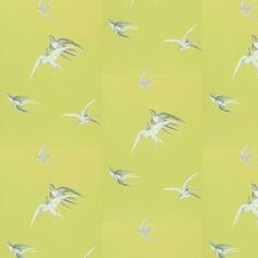 a flock of birds flying in the sky on a green and yellow wallpaper background