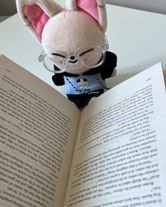 a stuffed animal is sitting on top of an open book