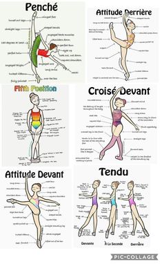 the different types of yoga poses and their corresponding body parts are shown in this diagram