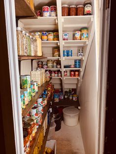 the pantry is stocked with all kinds of food