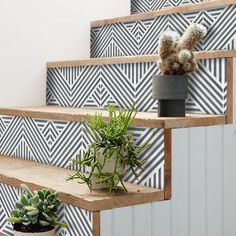 some plants are sitting on wooden shelves in front of a wall that has geometric tiles