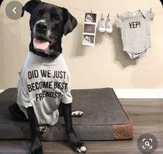 a black dog wearing a shirt that says, did we just become best friends?